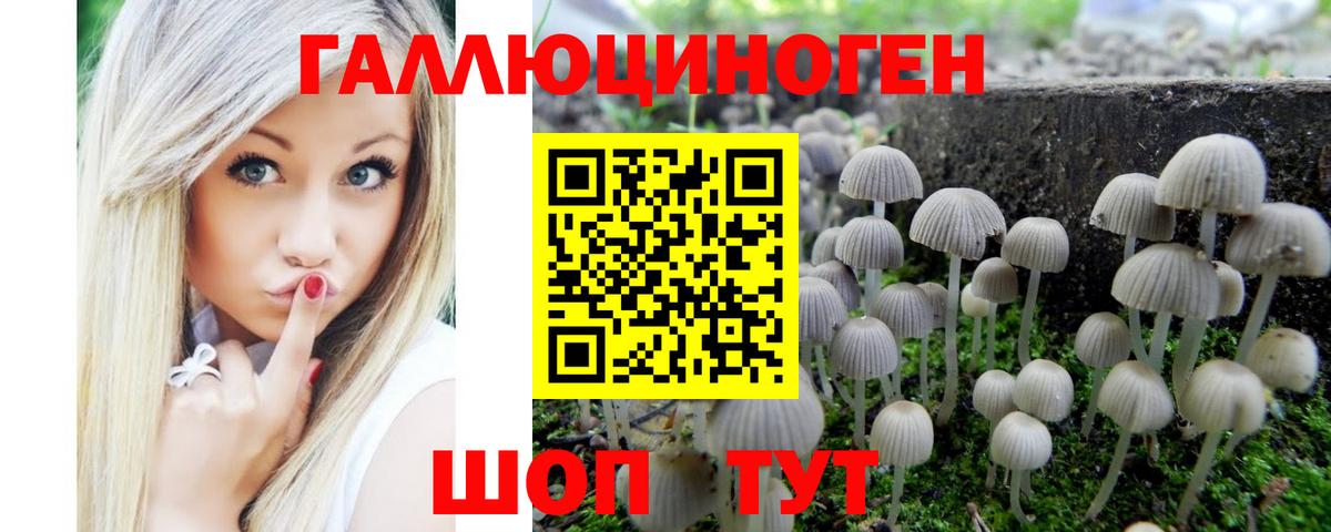 Псилоцибиновые грибы Cubensis Дзержинский